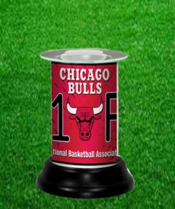 CHICAGO BULLS