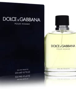 Dolce & Gabbana Cologne