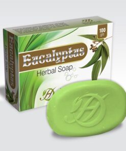 Eucalyptus