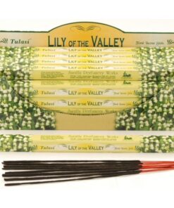TULASI LILY OF THE VALLEY