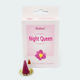 Tulasi Night Queen