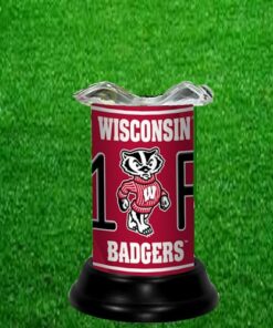 WISCONSIN BADGERS