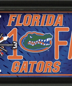 FLORIDA GATORS CLOCK