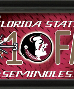 FLORIDA STATE SEMINOLES CLOCK