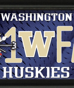 WASHINGTON HUSKIES CLOCK