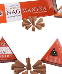 Golden Mantra Back Flow cones