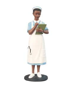 27042: Professional: Traditional Nurse