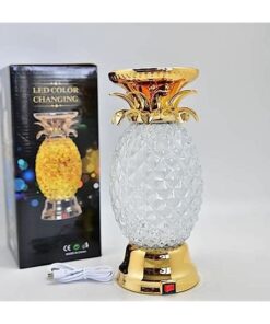 Pineapple LED Color Changing